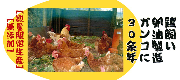 鶏飼い 卵油製造 ガンコに30余年 [数量限定生産] [無添加]